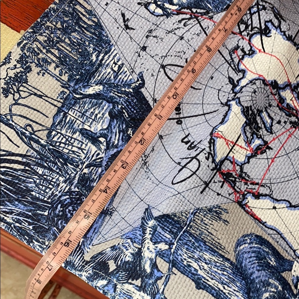 Dior Blue and Tan Tote Bag around the world - Picture 11 of 13